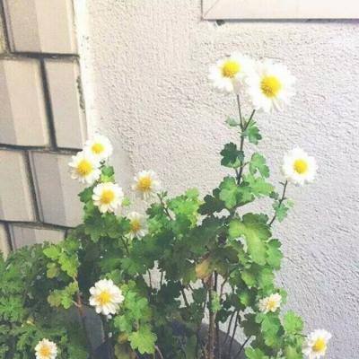 地下英雄城手游(暂未上线)v1.1 安卓最新版