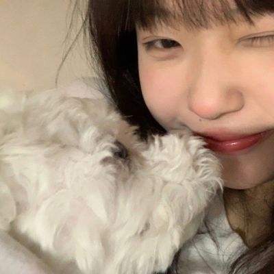 熊猫运行大师中文版下载